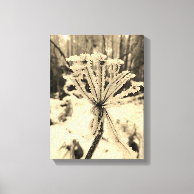 Winterfrost auf Pflanze in der Waldfotografie Leinwanddruck (Vorderseite)