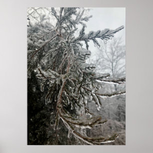 Winterfrost Poster