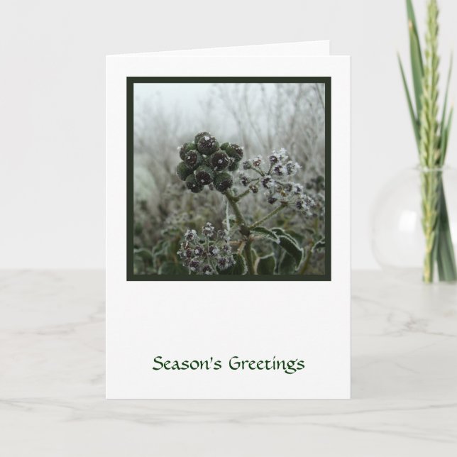 Winterfrostkarte Feiertagskarte (Vorderseite)