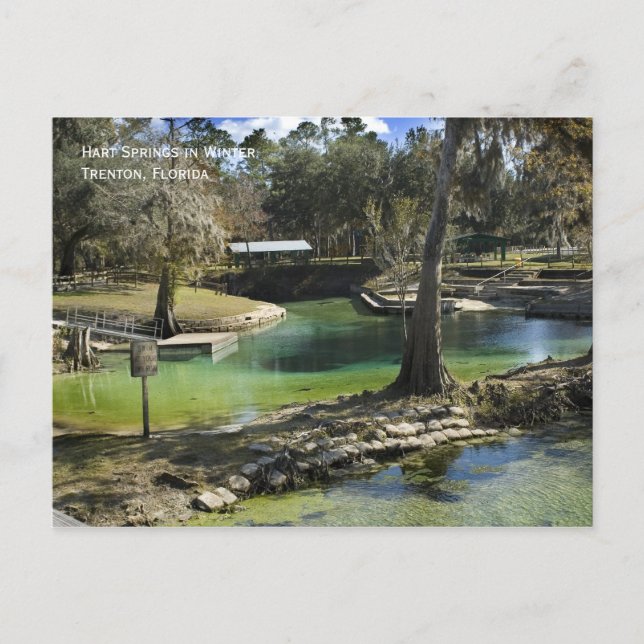 Winterfrühlingspostkarte Postkarte (Vorderseite)