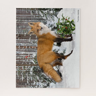 "Winterfuchs"