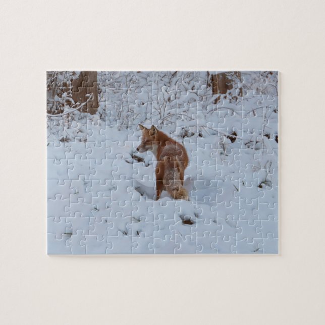 Winterfuchs (Horizontal)