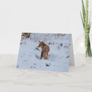 Winterfuchs Karte