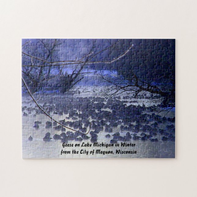 Wintergänse am Michigansee, Mequon in Wisconsin (Horizontal)