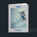 **WINTERGEBURTSTAG ZU MEINER *SISTER* KARTE<br><div class="desc">GEBEN ODER SENDEN SIE DIESE AN "***IHRE SCHWESTER*** UND DANKE FÜR DAS STOPPEN VON EINER MEINER ACHT GESCHÄFTE! DENKEN SIE DARAN,  SIE KÖNNEN DIE "VERSES" IN UND OUT ÄNDERN ODER HINZUFÜGEN,  WENN SIE IN SEKUNDEN WÜNSCHEN!</div>