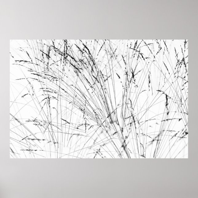 Wintergras im Schnee Poster (Vorne)
