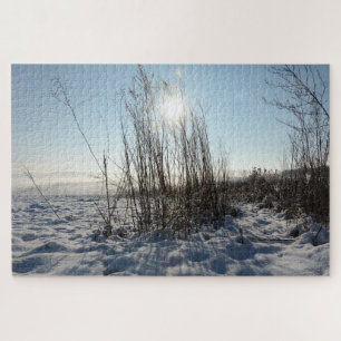 Wintergräser   -