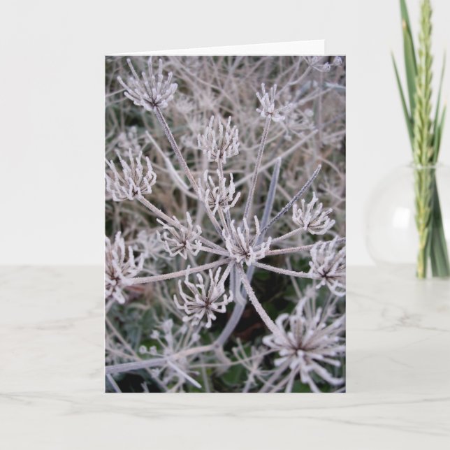 Wintergreifer Karte (Vorderseite)