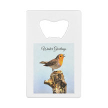 Wintergrüße. Robin singend