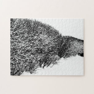 Winterhecke