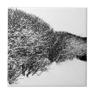 Winterhecke Fliese