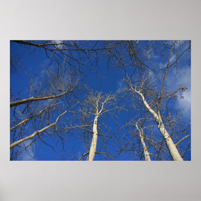 Winterhimmel Poster (Vorne)