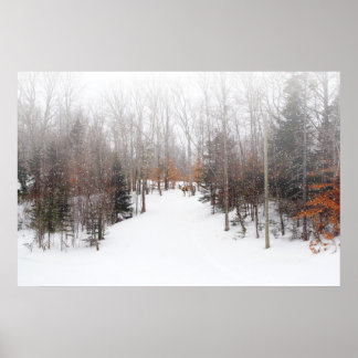 Winterhirsch Poster