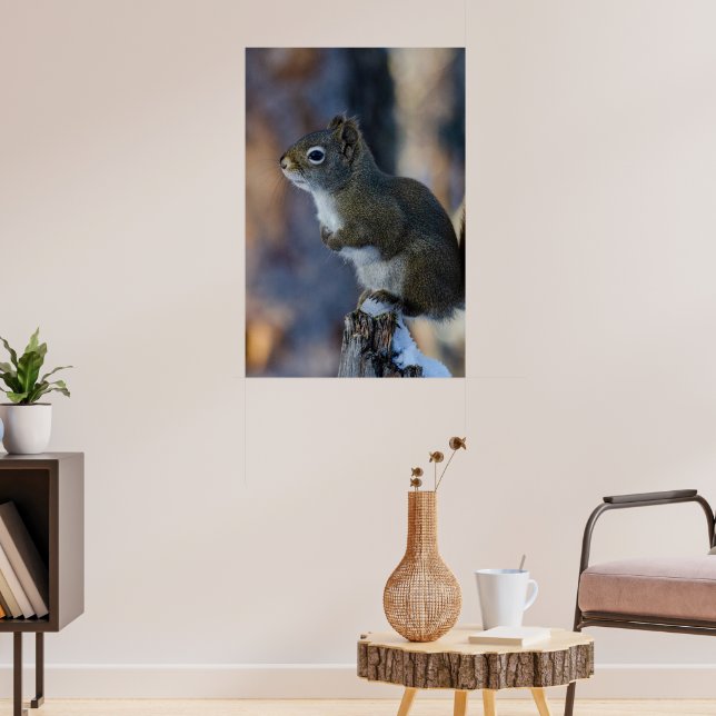 Winterhörnchen, Brauntier, kanadisches Foto Poster (Wohnzimmer 3)
