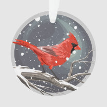 Winterkardinal 