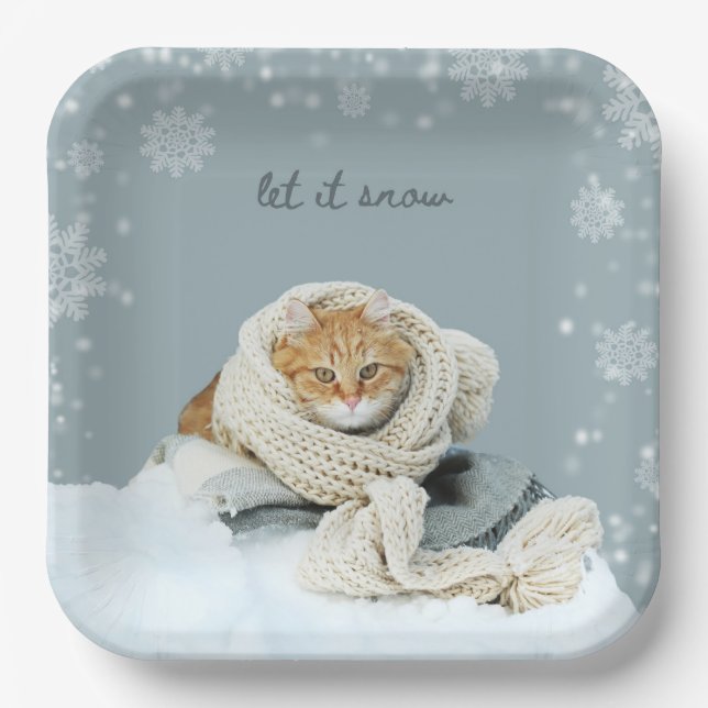Winterkatze zum Schneekoppeln von Tellern Pappteller (Vorderseite)