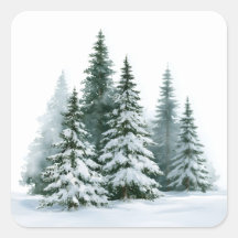 Winterkiefern