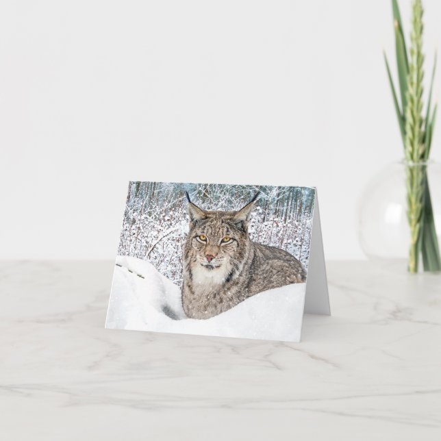 "Winterkind" (Vorderseite)