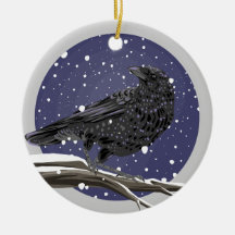 Winterkrähe