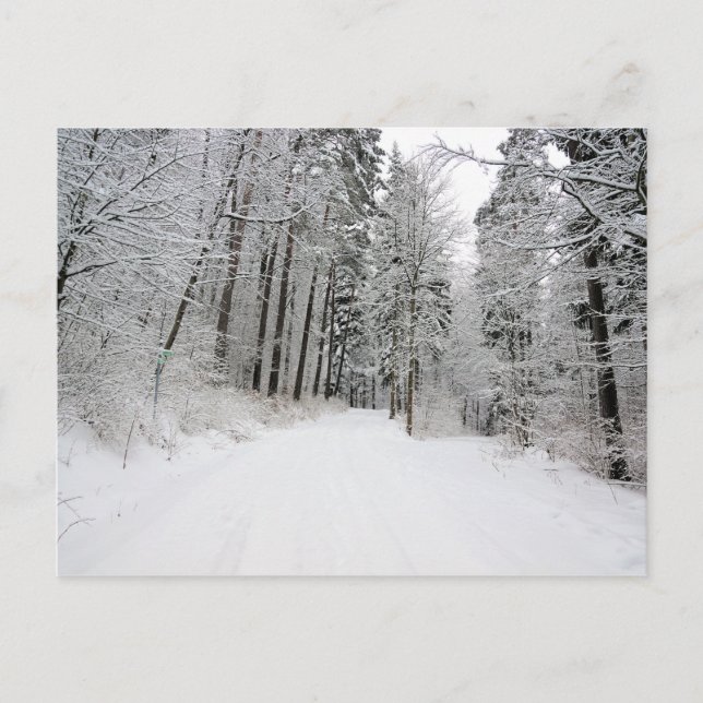 Winterlandepostkarte Postkarte (Vorderseite)