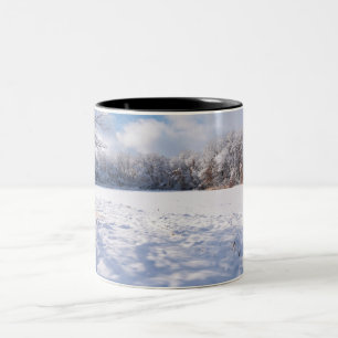 Winterlandschaft am Salem Hills Teich und Wald Zweifarbige Tasse