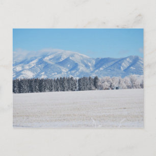 Winterlandschaft aus Bäumen, Schnee und Bergen Postkarte