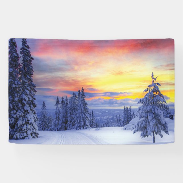 Winterlandschaft Banner (Horizontal)