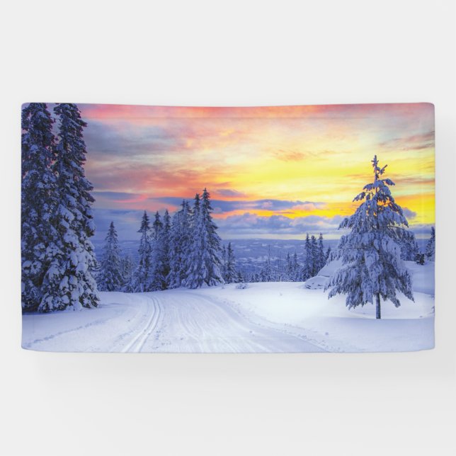 Winterlandschaft Banner (Horizontal)
