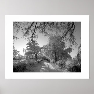 Winterlandschaft: Cheshire Poster