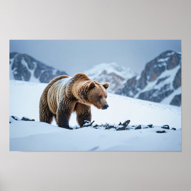 Winterlandschaft des Braunbären Poster (Vorne)