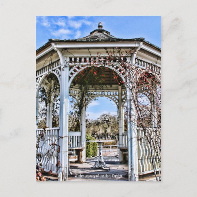 Winterlandschaft des Kräutergartens [Postkarte] Postkarte (Vorderseite)