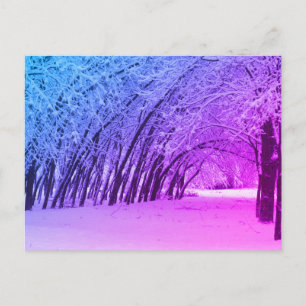 Winterlandschaft Foto Postkarte