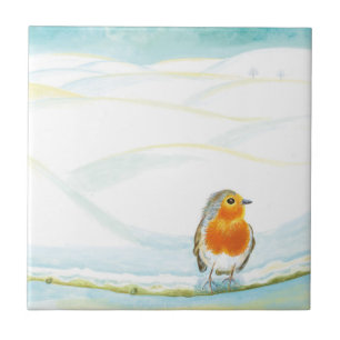 Winterlandschaft im Weißen Winter mit Robin Fliese