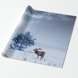Winterlandschaft in blauer Farbe. Einsamer Baum un Geschenkpapier