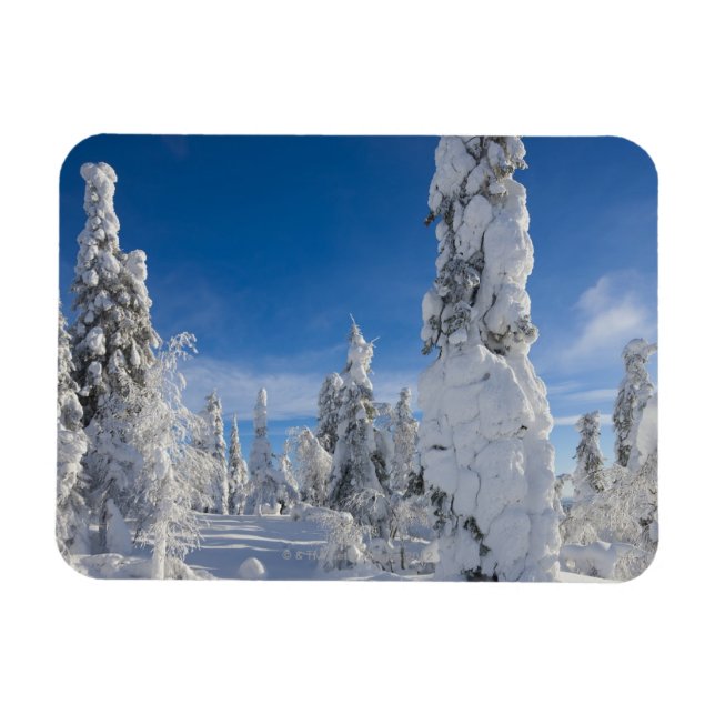 Winterlandschaft in Lappland Magnet (Horizontal)