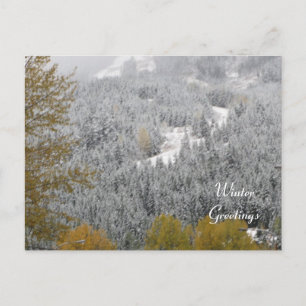 Winterlandschaft in Whistler, B.C. Postkarte