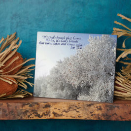 Winterlandschaft Inspirationsebene Fotoplatte
