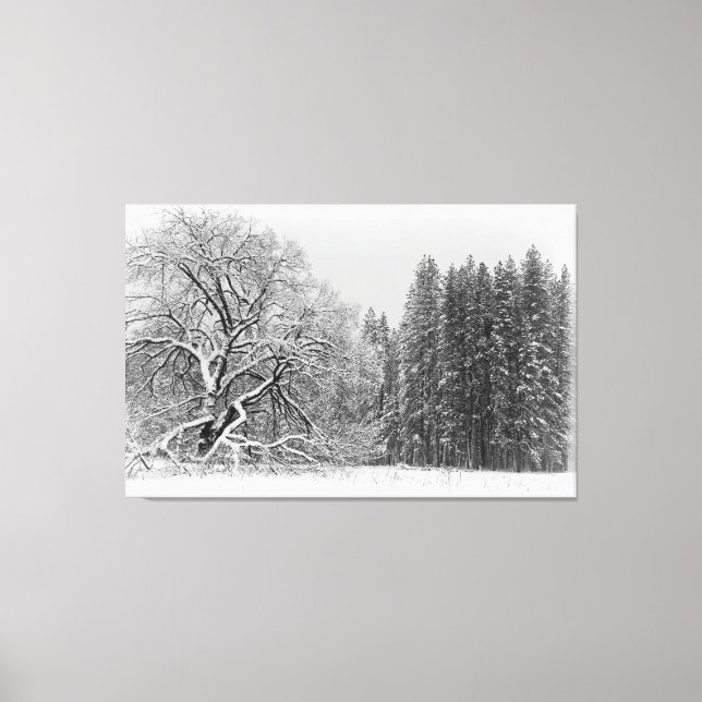 Winterlandschaft Leinwanddruck (Vorderseite)