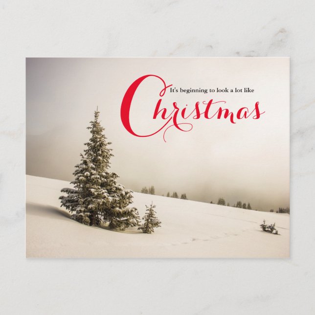 Winterlandschaft mit Baum - Postkarte (Vorderseite)