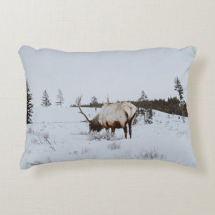 WINTERLANDSCHAFT MIT EINEM HIRSCH DEKOKISSEN