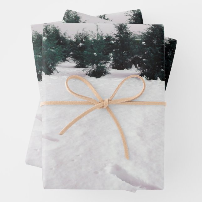 Winterlandschaft mit Lärchen im Schnee Geschenkpapier Set (Beispiel)