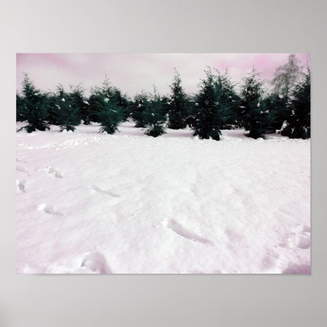 Winterlandschaft mit Lärchen im Schnee Poster (Vorne)