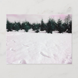 Winterlandschaft mit Lärchen im Schnee Postkarte