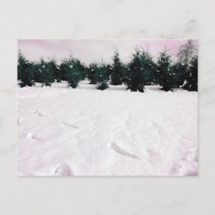 Winterlandschaft mit Lärchen im Winterurlaub Feiertagspostkarte