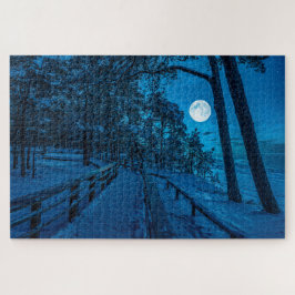 Winterlandschaft mit schneebedecktem Pinienwald