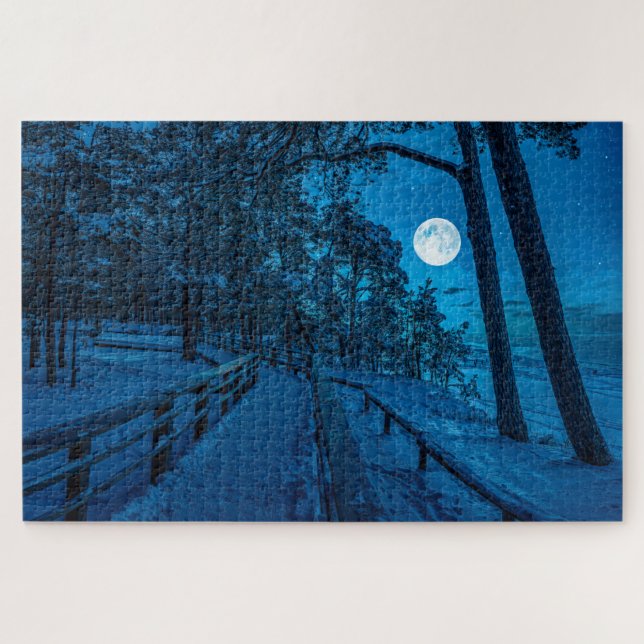 Winterlandschaft mit schneebedecktem Pinienwald (Horizontal)