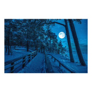Winterlandschaft mit schneebedecktem Pinienwald Fotodruck
