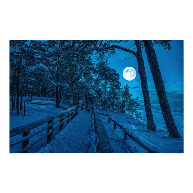 Winterlandschaft mit schneebedecktem Pinienwald Fotodruck (Vorne)