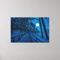 Winterlandschaft mit schneebedecktem Pinienwald