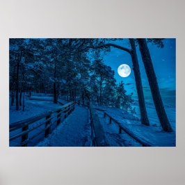 Winterlandschaft mit schneebedecktem Pinienwald Poster